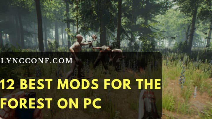 the forest mods to private server