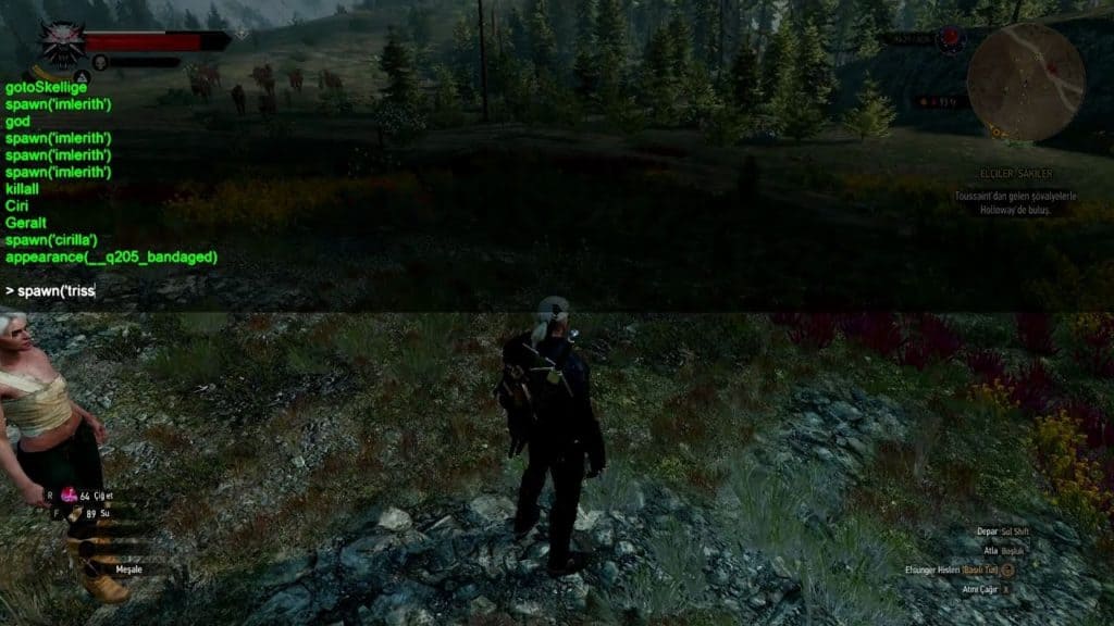 witcher 3 multi companion mod incompatible issues
