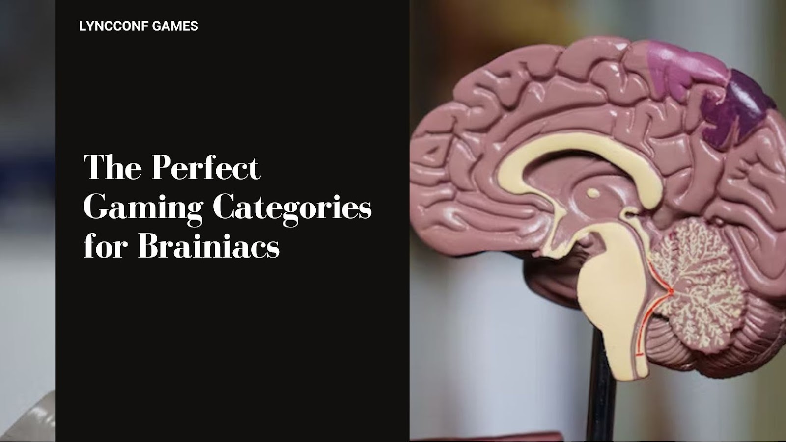 The perfect gaming categories for brainiacs
