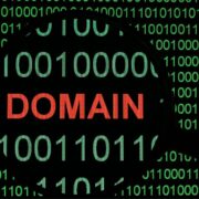 given the domain name www.flamingflamingos.eu, what is the top level domain in this name?