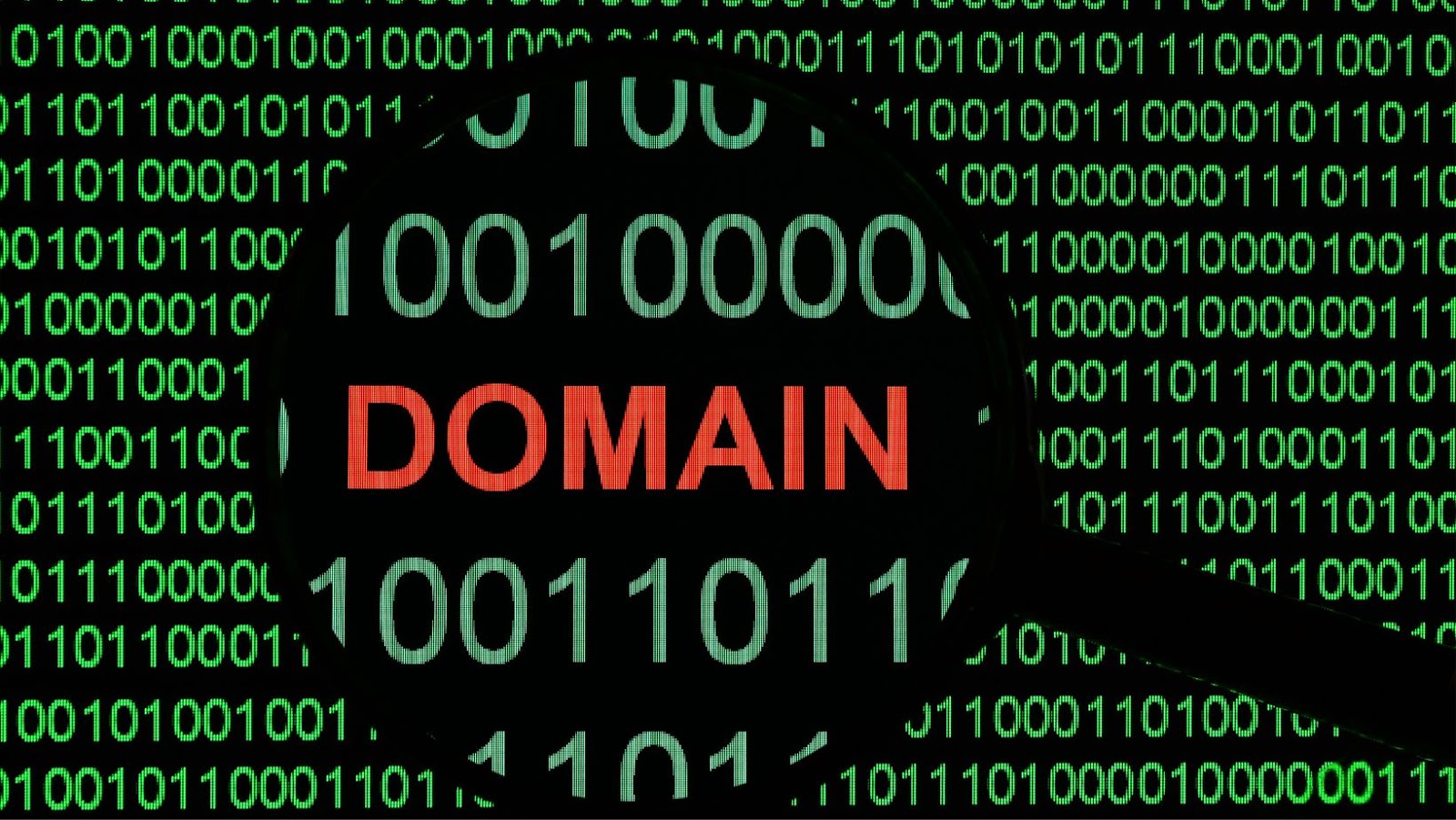 Given The Domain Name www.flamingflamingos.eu, What Is The Top Level Domain In This Name? Understanding Definition And Components Of A Domain Name