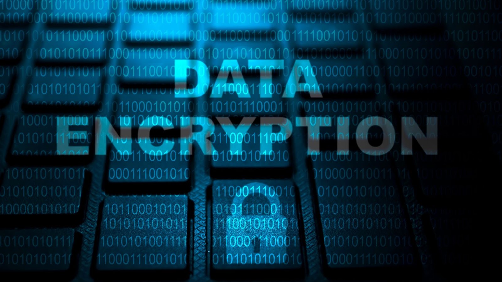 SSL Encrypted Connection Powered By: Esampark Wonder Cement 444