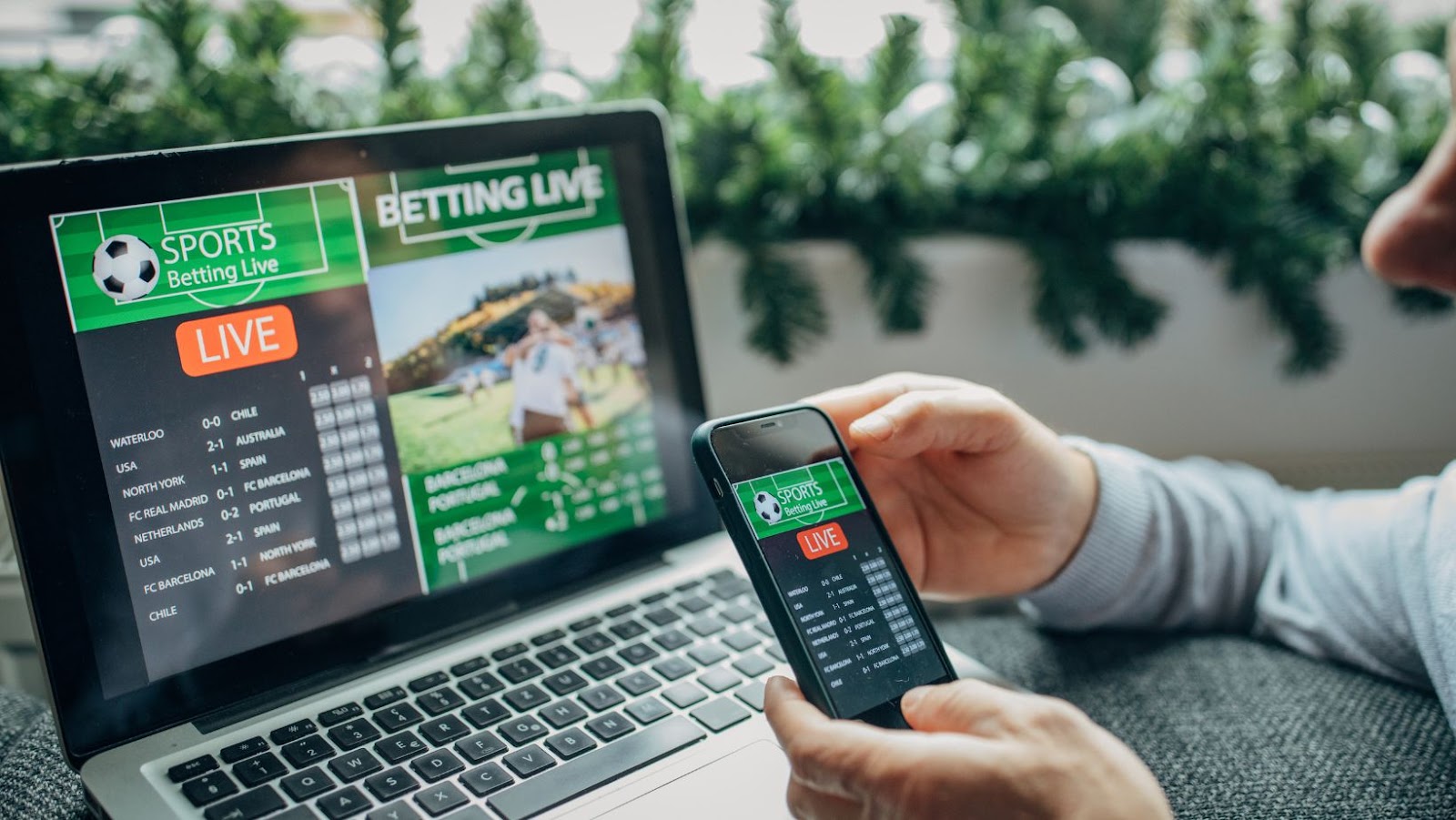 Tipwin 365 – The Ultimate Betting Platform for Maximum Wins