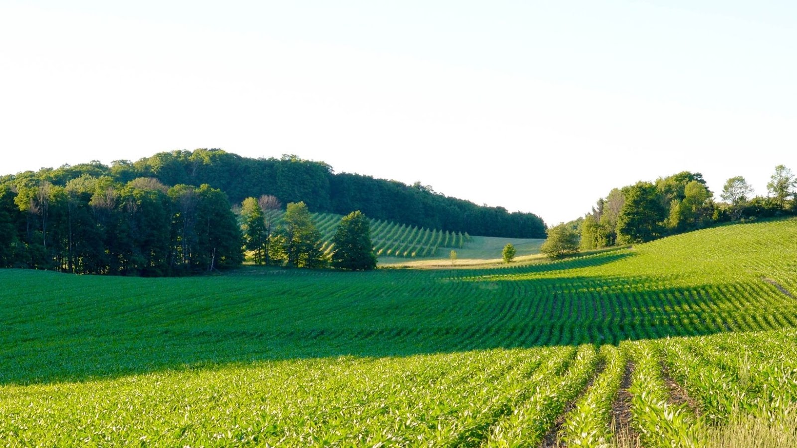 Acre to Katha Conversion Made Easy Learn How to Calculate Your Land