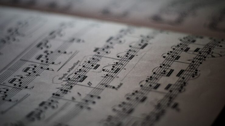 pearlvine login registration