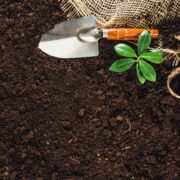 fresno'' - craigslist farm and garden