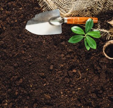 fresno'' - craigslist farm and garden