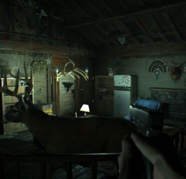 cute:7ziqkivryto= frog