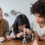 how can biology be studied at different scales or levels