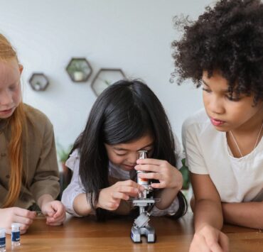 how can biology be studied at different scales or levels