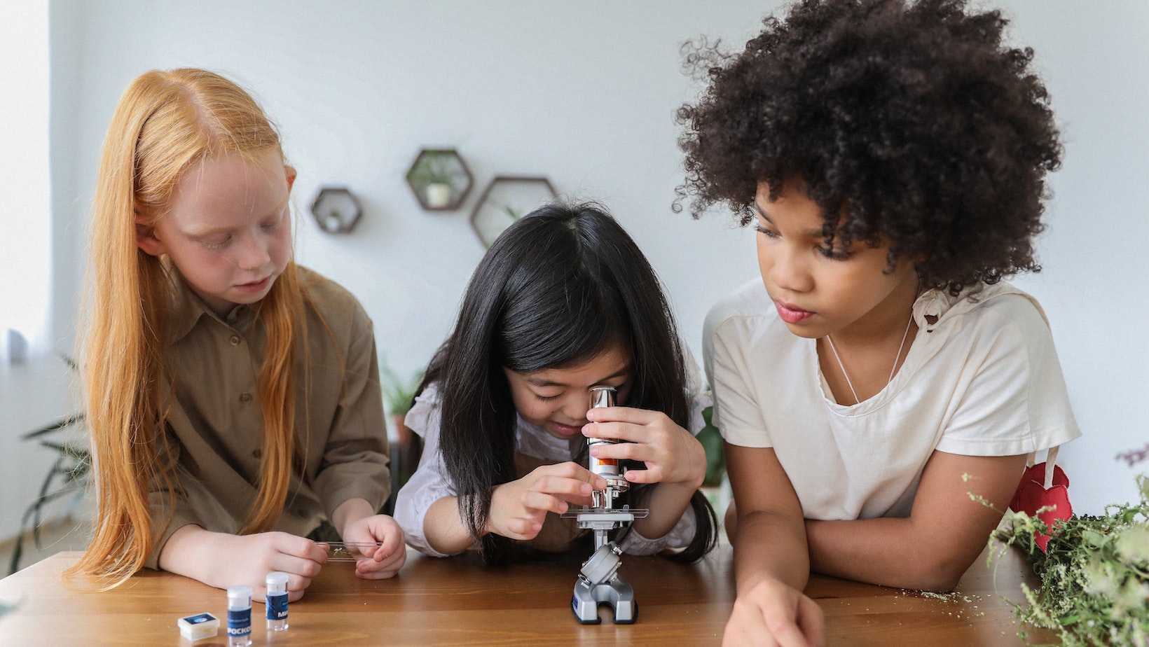 Understanding biology at different scales how can biology be studied at different scales or levels