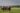 Understanding Horse Racing Odds: A Beginner’s Guide