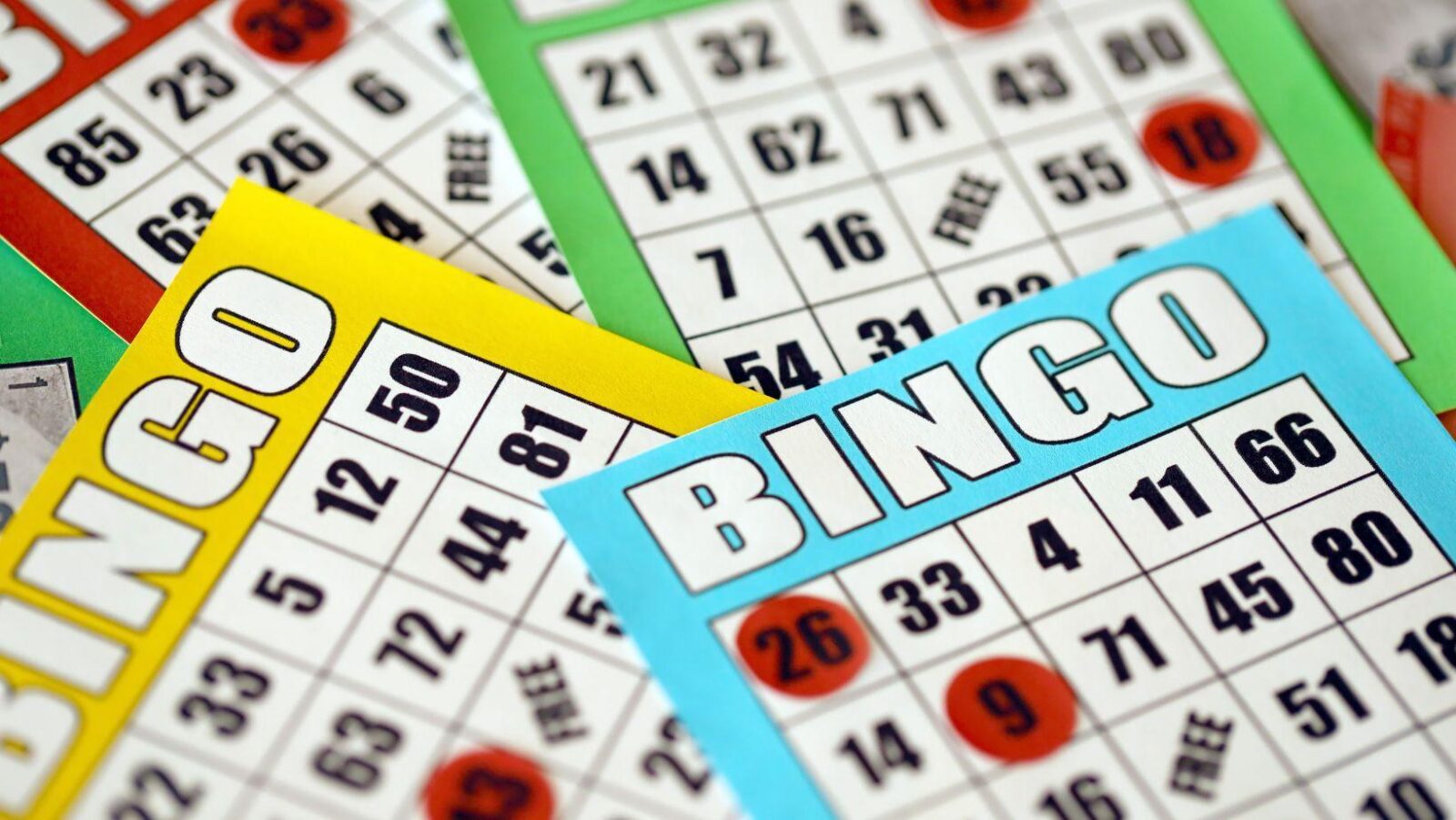 Getting Started with Bingo in the UK: A Beginner’s Guide